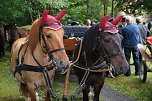 2. Th&uuml;ringer Traditionsgespannfahren Clingen (Foto: Peter Georgi)