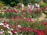Geburtstag Rosarium (Foto: Klaus Henze, Artern)