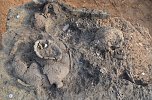 Funde aus 5000 Jahren S&uuml;dharzer Geschichte (Foto: Angelo Glashagel/Th&uuml;ringisches Landesamt f&uuml;r Denkmalpflege und Arch&auml;ologie)