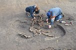 Funde aus 5000 Jahren S&uuml;dharzer Geschichte (Foto: Angelo Glashagel/Th&uuml;ringisches Landesamt f&uuml;r Denkmalpflege und Arch&auml;ologie)