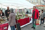 Gro&szlig;er Pflanzenmarkt mit Aktionstag (Foto: Karl-Heinz Herrmann)