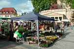 Gro&szlig;er Pflanzenmarkt mit Aktionstag (Foto: Karl-Heinz Herrmann)
