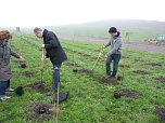 Begr&uuml;nung der R&uuml;ckstandshalde (Foto: Karl-Heinz Herrmann)