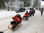 Schlittenhunderennen in Benneckenstein (Foto: Karin Lehmann, Peter Blei)