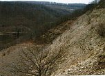 Der aufl&auml;ssige Kalksteinbruch der Feuerkuppe (Foto: Archiv Rasemann)