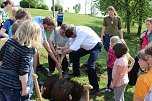Zum Fest einen Baum gepflanzt (Foto: Karl-Heinz Herrmann) Zum Fest einen Baum gepflanzt (Foto: Karl-Heinz Herrmann)