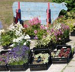 9.Kr&auml;uterfest Friedrichsrode (Foto: Kunsthof Friedrichsrode)