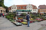 Besuch beim Pflanzenmarkt lohnt (Foto: Karl-Heinz Herrmann) Besuch beim Pflanzenmarkt lohnt (Foto: Karl-Heinz Herrmann)