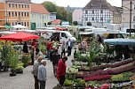 Besuch beim Pflanzenmarkt lohnt (Foto: Karl-Heinz Herrmann) Besuch beim Pflanzenmarkt lohnt (Foto: Karl-Heinz Herrmann)