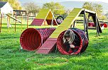 Agility Fun-Turnier in der Hundeschule ABC (Foto: Stadt Bad Frankenhausen)