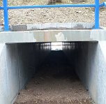 Winterwanderung Frauenberg (Foto: Hans-Jürgen Schmidt) Winterwanderung Frauenberg (Foto: Hans-Jürgen Schmidt)