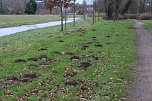 Maulwurfsinvasion im Schlosspark Sondershausen? (Foto: Karl-Heinz Herrmann)