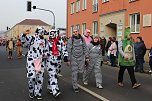 N&auml;rrinnen und Narren zogen durch Sondershausen (1) (Foto: Karl-Heinz Herrmann)