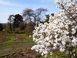 Saisoner&ouml;ffnung im Sangerh&auml;user Rosarium (Foto: Peter Blei)