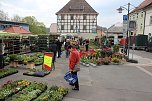 Gewimmel auf dem Pflanzenmarkt (Foto: Karl-Heinz Herrmann)
