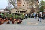 Gewimmel auf dem Pflanzenmarkt (Foto: Karl-Heinz Herrmann)