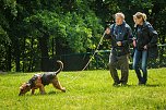 Mantrailing-Seminar auf dem Sondersh&auml;user Hundeplatz (Foto: Privat)
