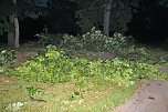 Schlosspark Sondershausen stellenweise regelrecht verw&uuml;stet. Stra&szlig;en wieder frei (Stand 23:40)... (Foto: Karl-Heinz Herrmann)