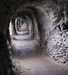 Barbarossa wird munter (Foto: Karin Lehmann)