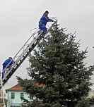 Helbespatzen schm&uuml;ckten den Ebelebener Weihnachtsbaum (Foto: Helbespatzen)
