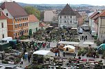 Pflanzenmarkt gut besucht (Foto: Karl-Heinz Herrmann)