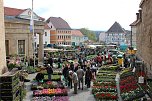 Pflanzenmarkt gut besucht (Foto: Karl-Heinz Herrmann)
