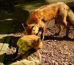 Peter Blei unterwegs in K&ouml;then (Foto: Peter Blei)