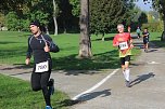 Die langen Strecken beim Stadtparklauf (Foto: Karl-Heinz Herrmann)