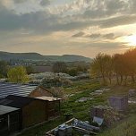 Wir benötigen Ihre Hilfe!!! (Foto: Verein Samtpfoten) Wir benötigen Ihre Hilfe!!! (Foto: Verein Samtpfoten)