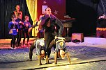 Sehr sehenswertes Zirkusprojekt (Foto: Karl-Heinz Herrmann)