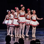 Die Sch&ouml;ne und das Biest ein Ballettm&auml;rchen. (Foto: Holger Schurack)