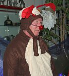 Hase Hops im Weihnachtsstress (Foto: Karl-Heinz Herrmann) Hase Hops im Weihnachtsstress (Foto: Karl-Heinz Herrmann)