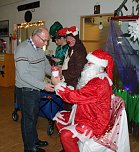 Hase Hops im Weihnachtsstress (Foto: Karl-Heinz Herrmann) Hase Hops im Weihnachtsstress (Foto: Karl-Heinz Herrmann)