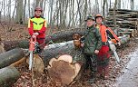 Holzernte in Seega (Foto: Karl-Heinz Herrmann) Holzernte in Seega (Foto: Karl-Heinz Herrmann)