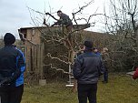 Reges Interesse an Schulungen zum Obstbaumschnitt (Foto: Thomas Leipold)