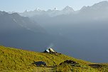 Impressionen vom Indischen Himalaya (Foto: T. Graner) Impressionen vom Indischen Himalaya (Foto: T. Graner)