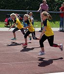 Ergebnisse der 7. Mini-WM der Leichtathletik (Foto: Karl-Heinz Herrmann) Ergebnisse der 7. Mini-WM der Leichtathletik (Foto: Karl-Heinz Herrmann)