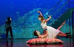"Sternstunden" des Balletts (Foto: Theater Nordhausen) "Sternstunden" des Balletts (Foto: Theater Nordhausen)