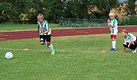 Fu&szlig;ballferienschule immer attraktiver (Foto: Karl-Heinz Herrmann)