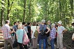 Waldbegehung mit Siegesmund und Kieling (Foto: Karl-Heinz Herrmann) Waldbegehung mit Siegesmund und Kieling (Foto: Karl-Heinz Herrmann)