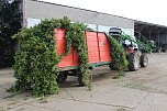 Start der Hopfenernte in Gro&szlig;enehrich (Foto: Karl-Heinz Herrmann)