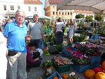 Planzenmarkt in Sondershausen (Foto: Karl-Heinz Herrmann)