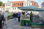 Pflanzenmarkt in Sondershausen (Foto: Karl-Heinz Herrmann)
