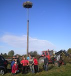Neue Storchennester in Seehausen (Foto: Susanne Böhme) Neue Storchennester in Seehausen (Foto: Susanne Böhme)