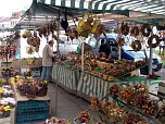 37. Zwiebelmarkt Artern (Foto: Klaus Henze)