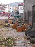 Baumf&auml;llung in Bad Frankenhausen (Foto: Andreas Zeidler)