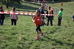 Tolles Kreisfinale beim Crosslauf (Foto: Karl-Heinz Herrmann)