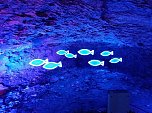Lichterwelten in der Barbarossah&ouml;hle (Foto: Dorothea Kieper)