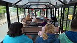 Fahrt mit der Tschu Tschu Bahn (Foto: Yvonne Kraft)