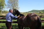 Komm zum Pferd... (Foto: Karl-Heinz Herrmann)